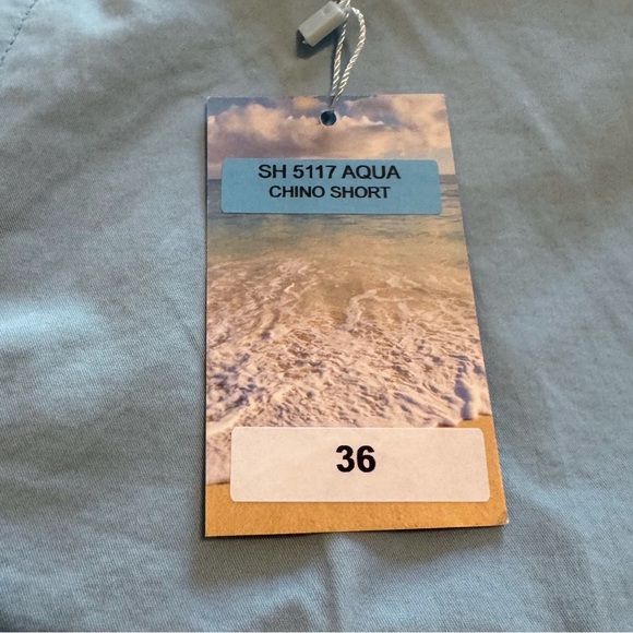 Georg Roth Chino Shorts in Aqua - Picture 4 of 6